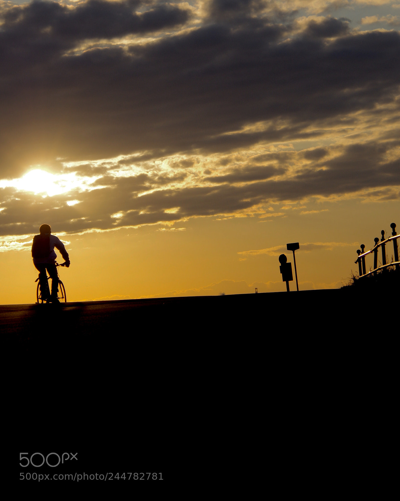 Pentax K-3 sample photo. Light of the sun. photography