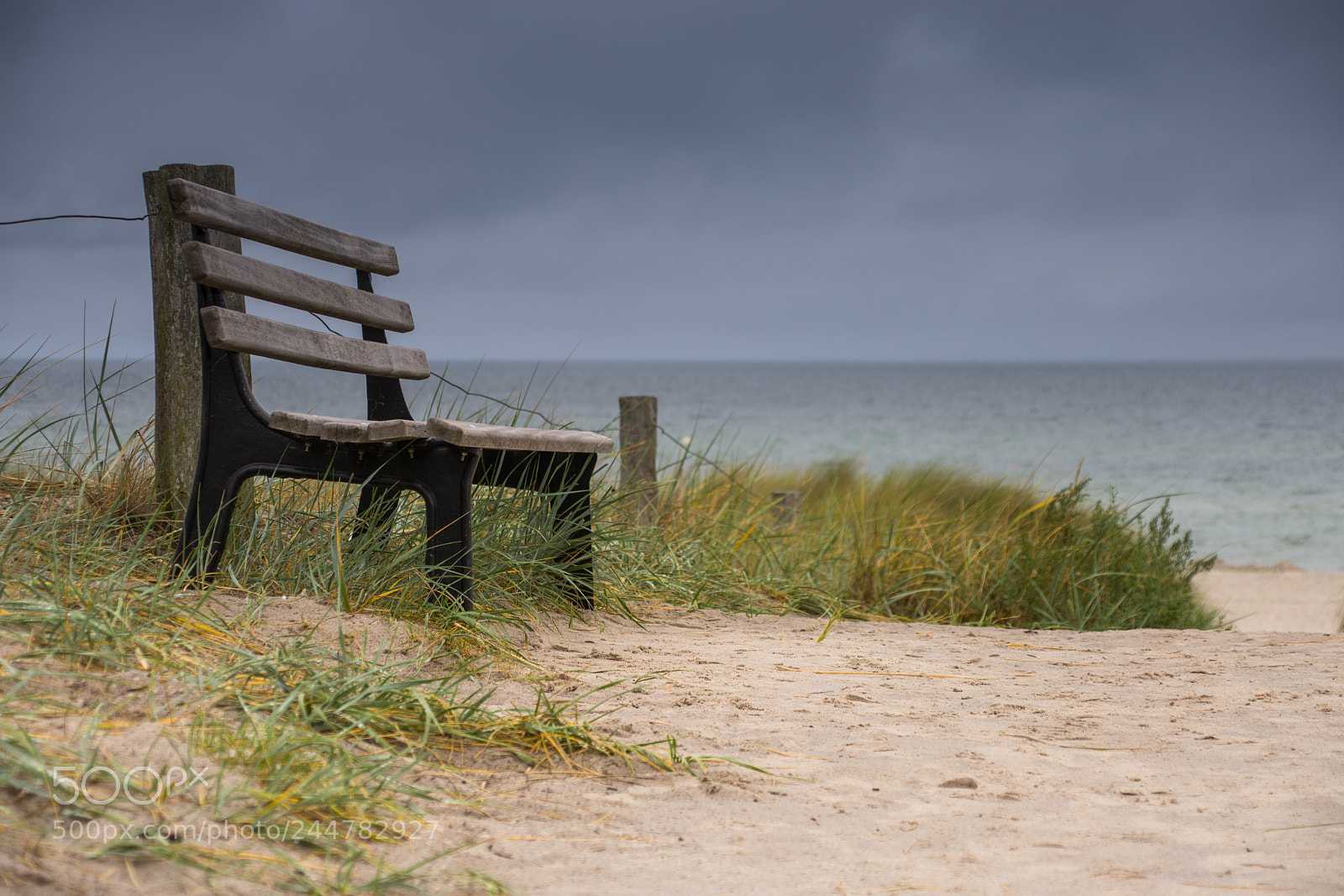 Nikon D7200 sample photo. Place to relax photography
