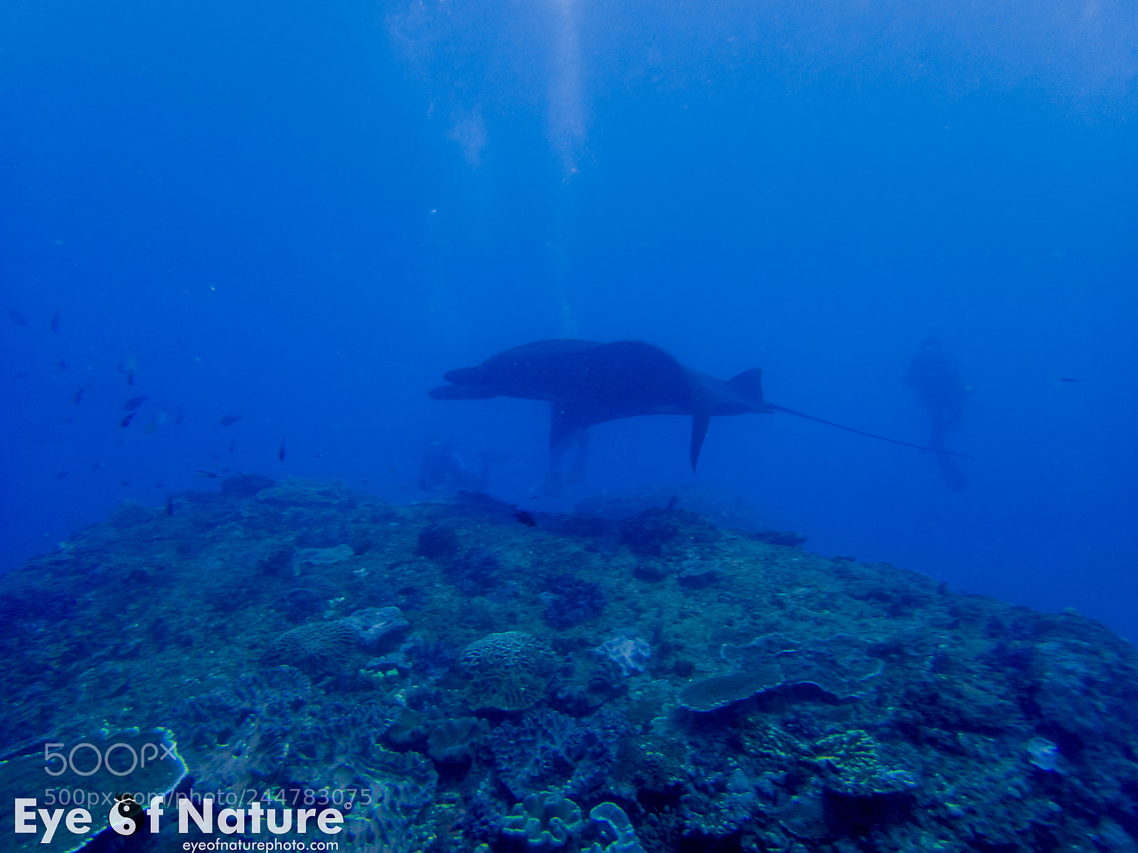 Olympus TG-4 sample photo. Nusa lembongan 2016 photography