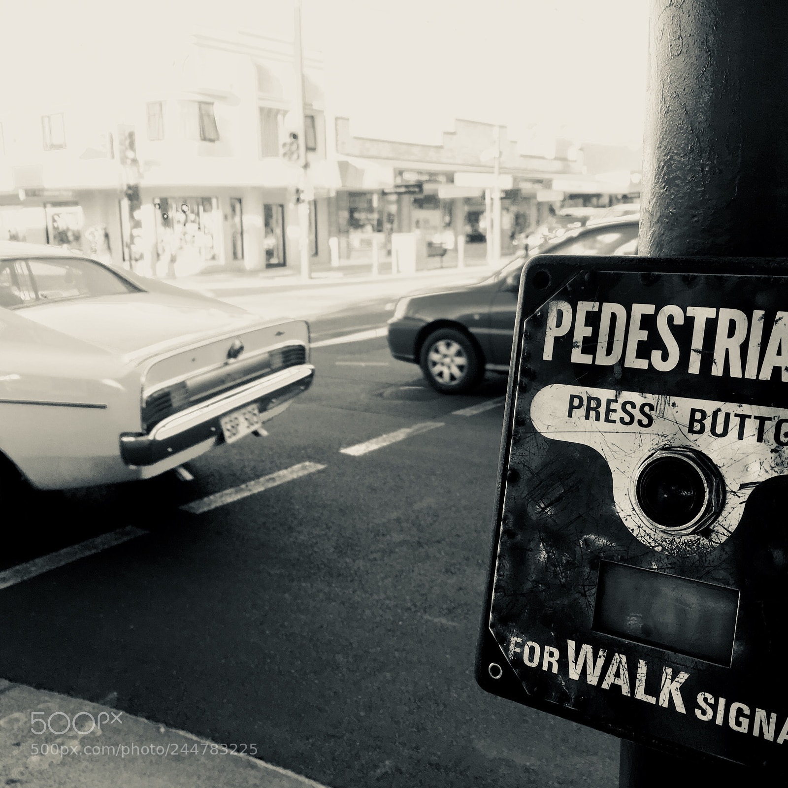 Apple iPhone SE sample photo. Snap 365 @ jetty road (glenelg) photography