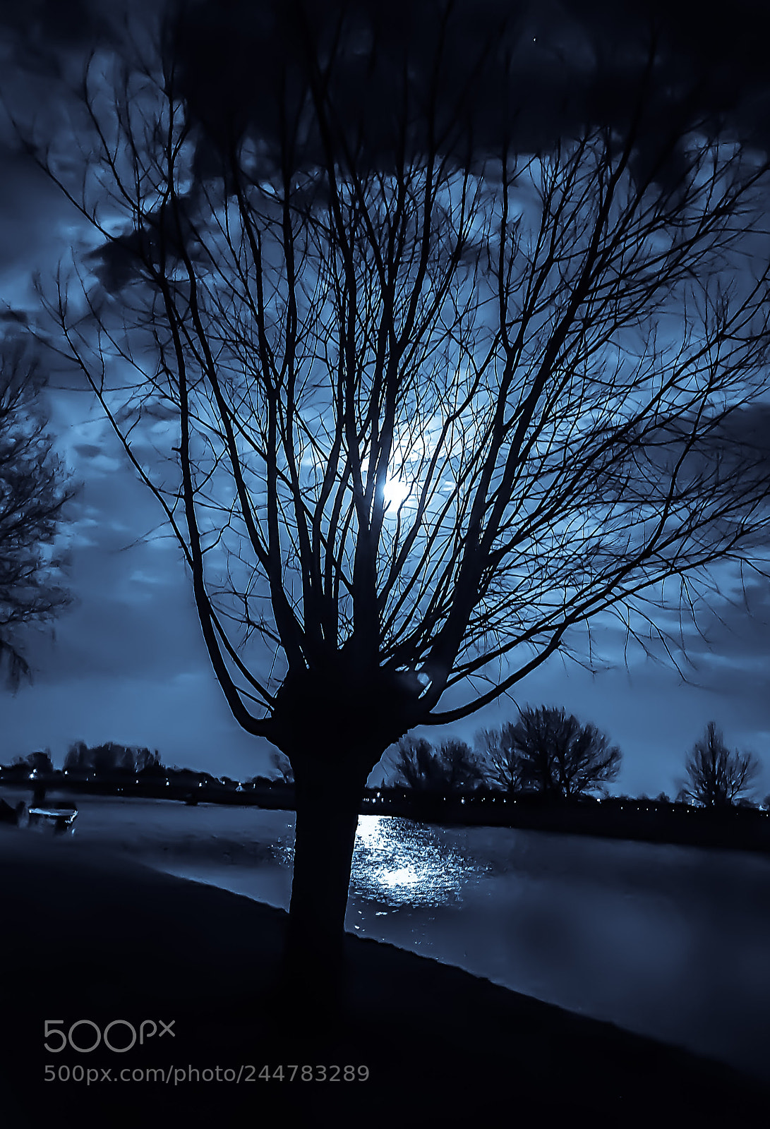 Samsung Galaxy S7 sample photo. Blue moon photography