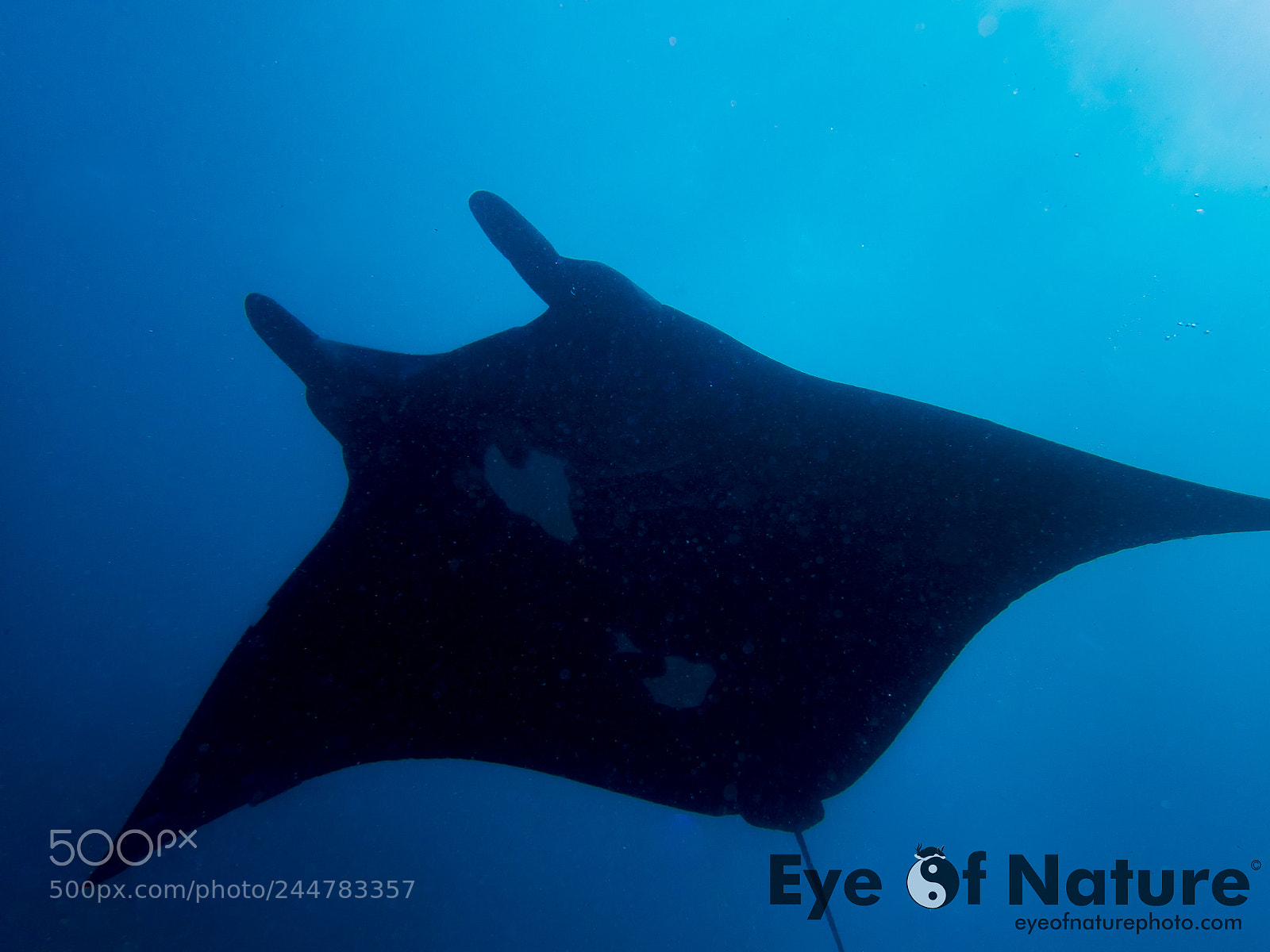 Olympus TG-4 sample photo. Nusa lembongan 2016 photography