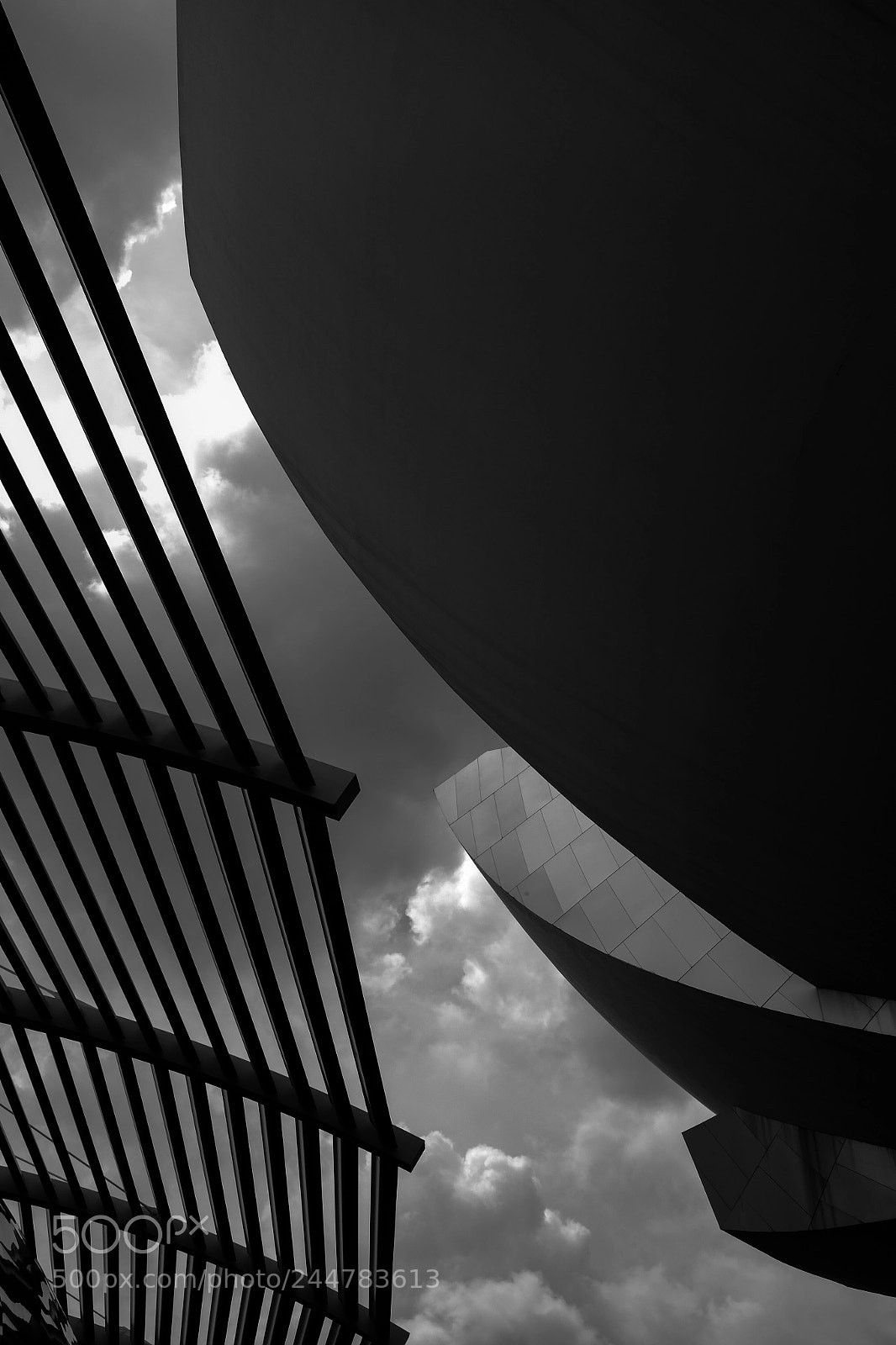 Fujifilm X100T sample photo. Lotus silhouette - artscience photography