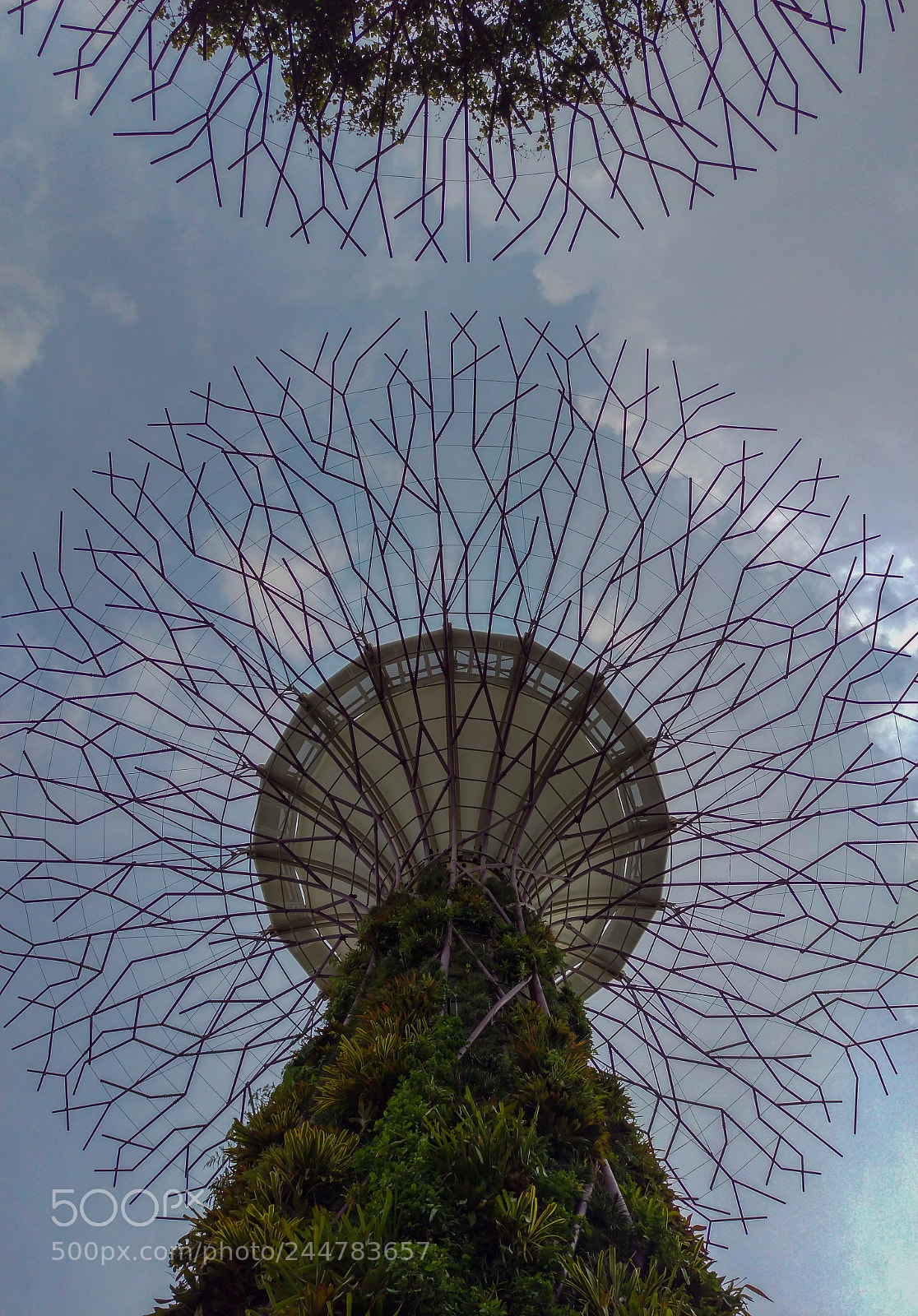 HTC ONE M9 sample photo. Underneath supertree grove photography