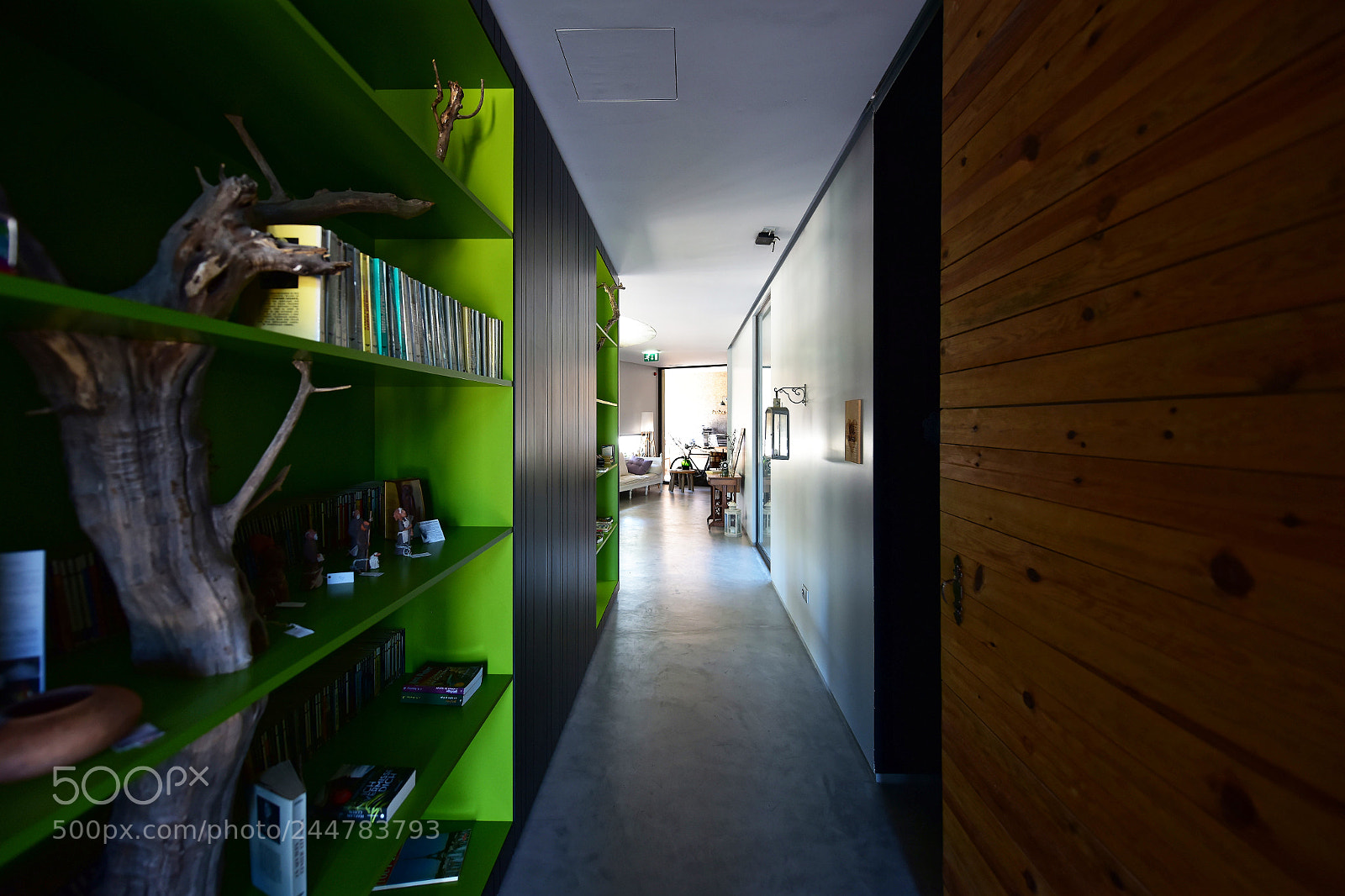 Nikon D810 sample photo. Another corridor perspective photography