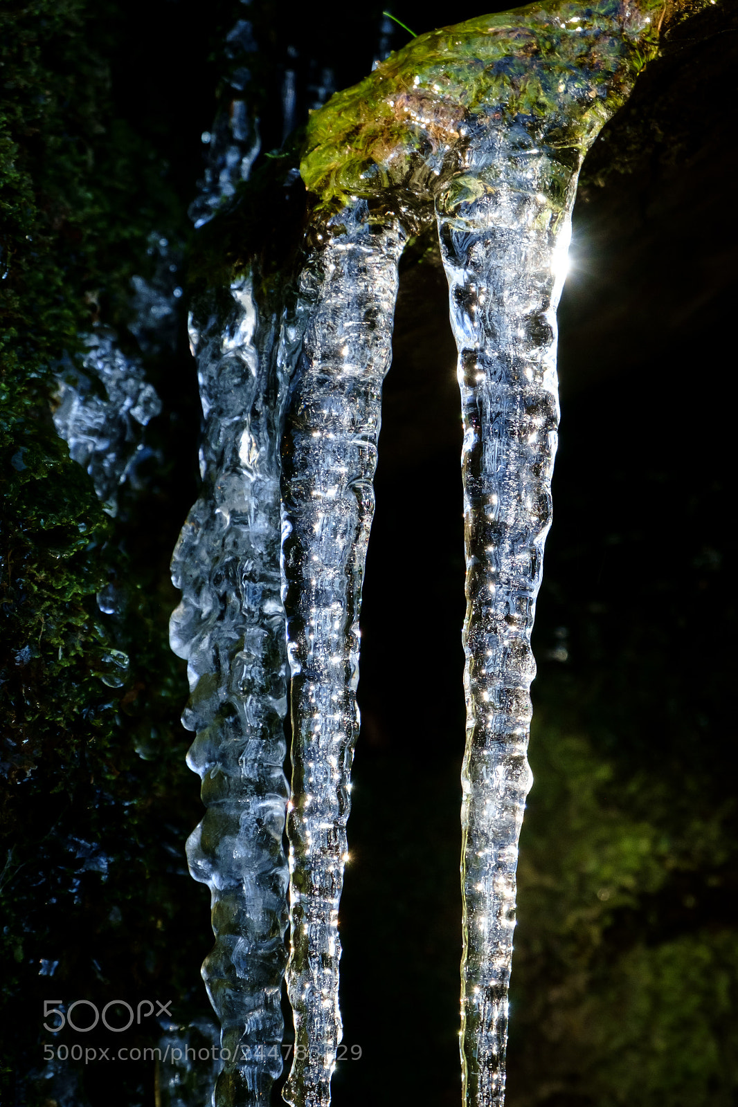 Fujifilm X-E1 sample photo. Icicles photography