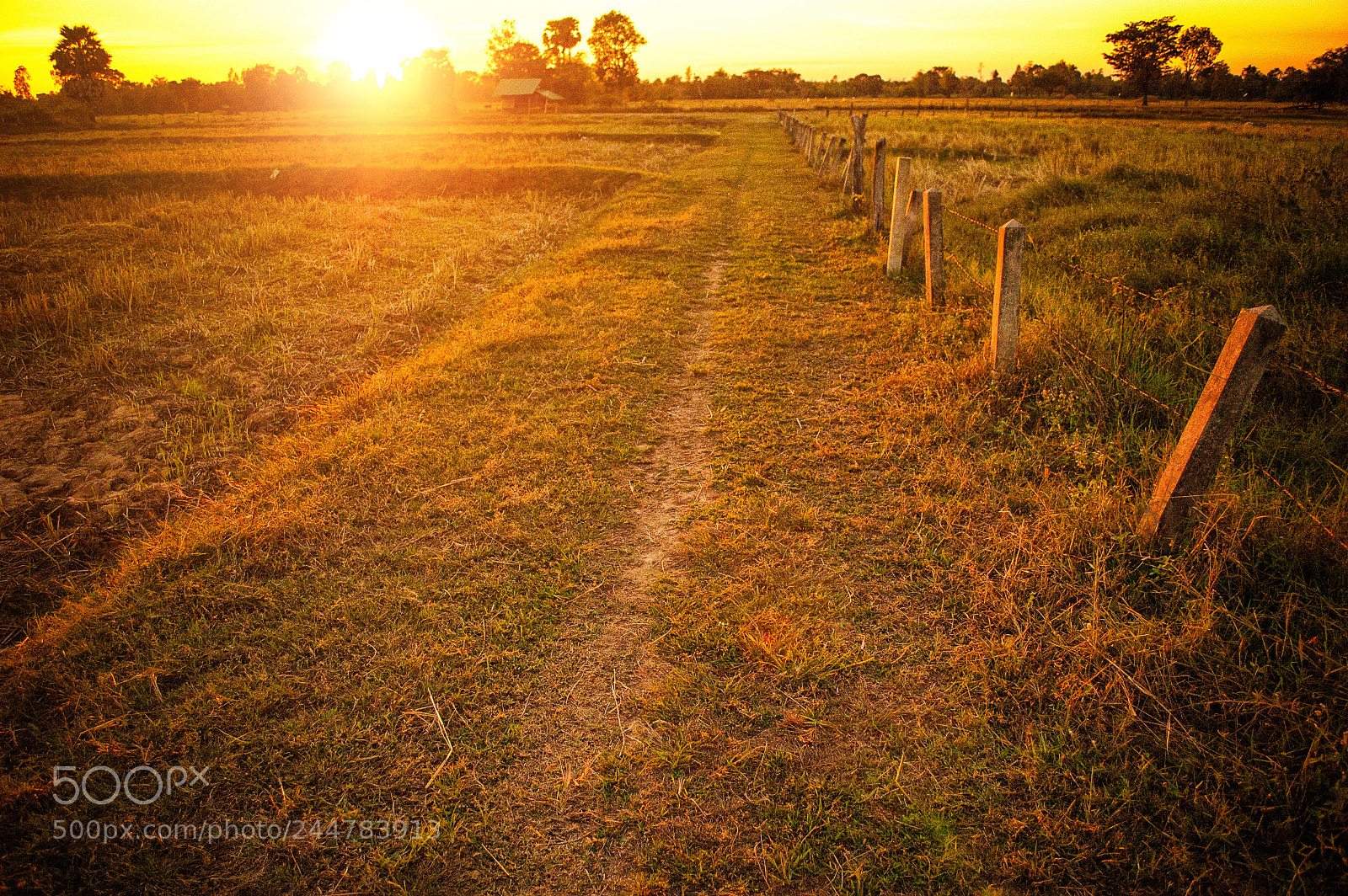 Nikon D70 sample photo. Sunset @ countryside photography
