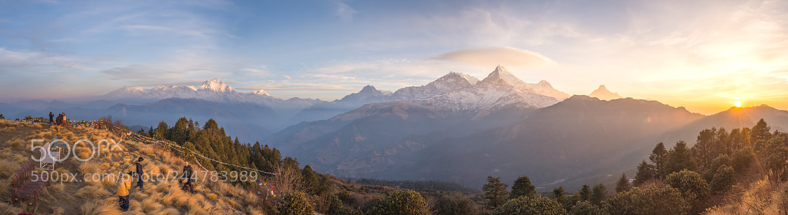 Nikon D610 sample photo. Poonhill in panorama view photography