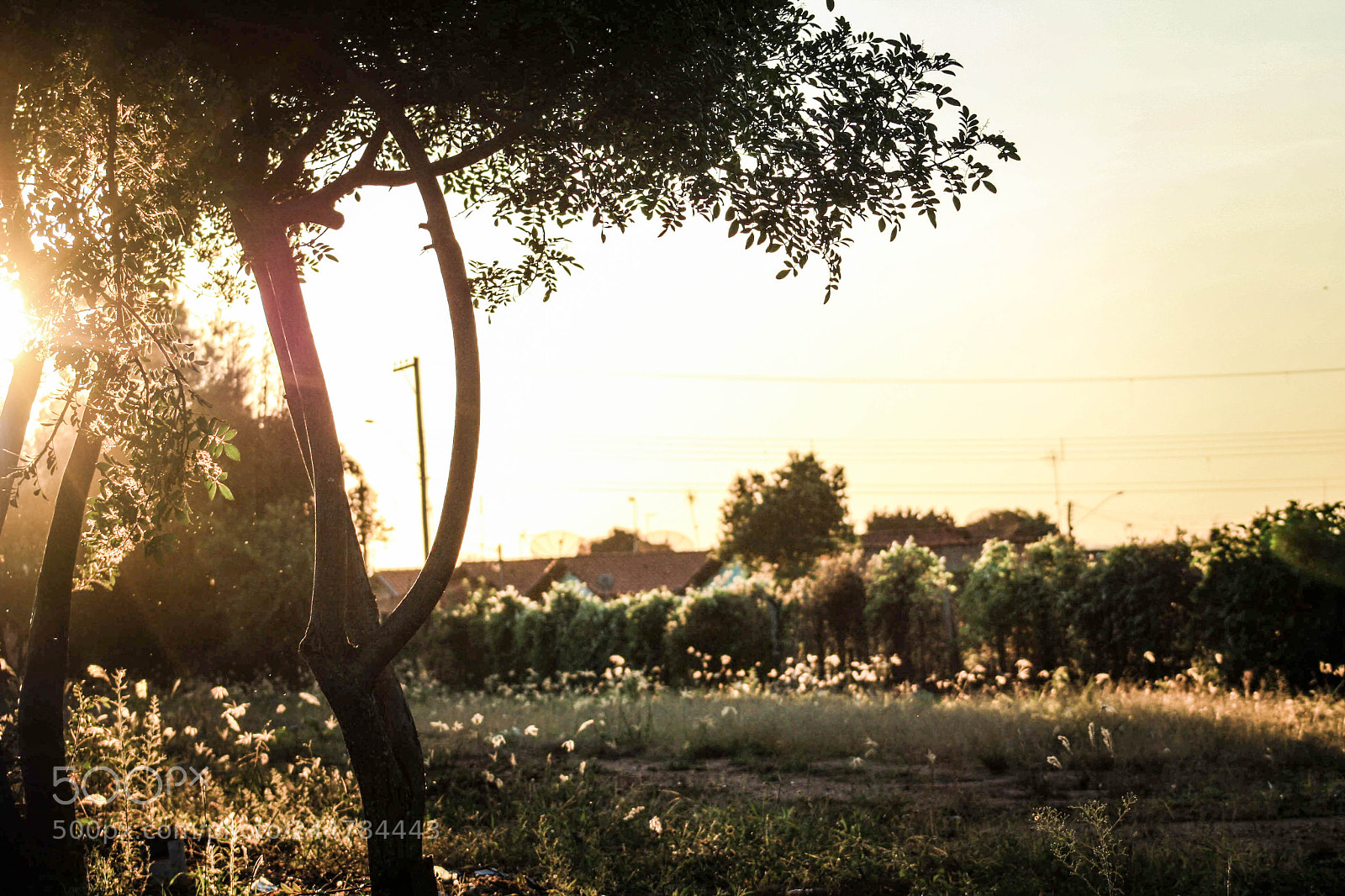 Canon EOS 1000D (EOS Digital Rebel XS / EOS Kiss F) sample photo. Beautiful sunset photography