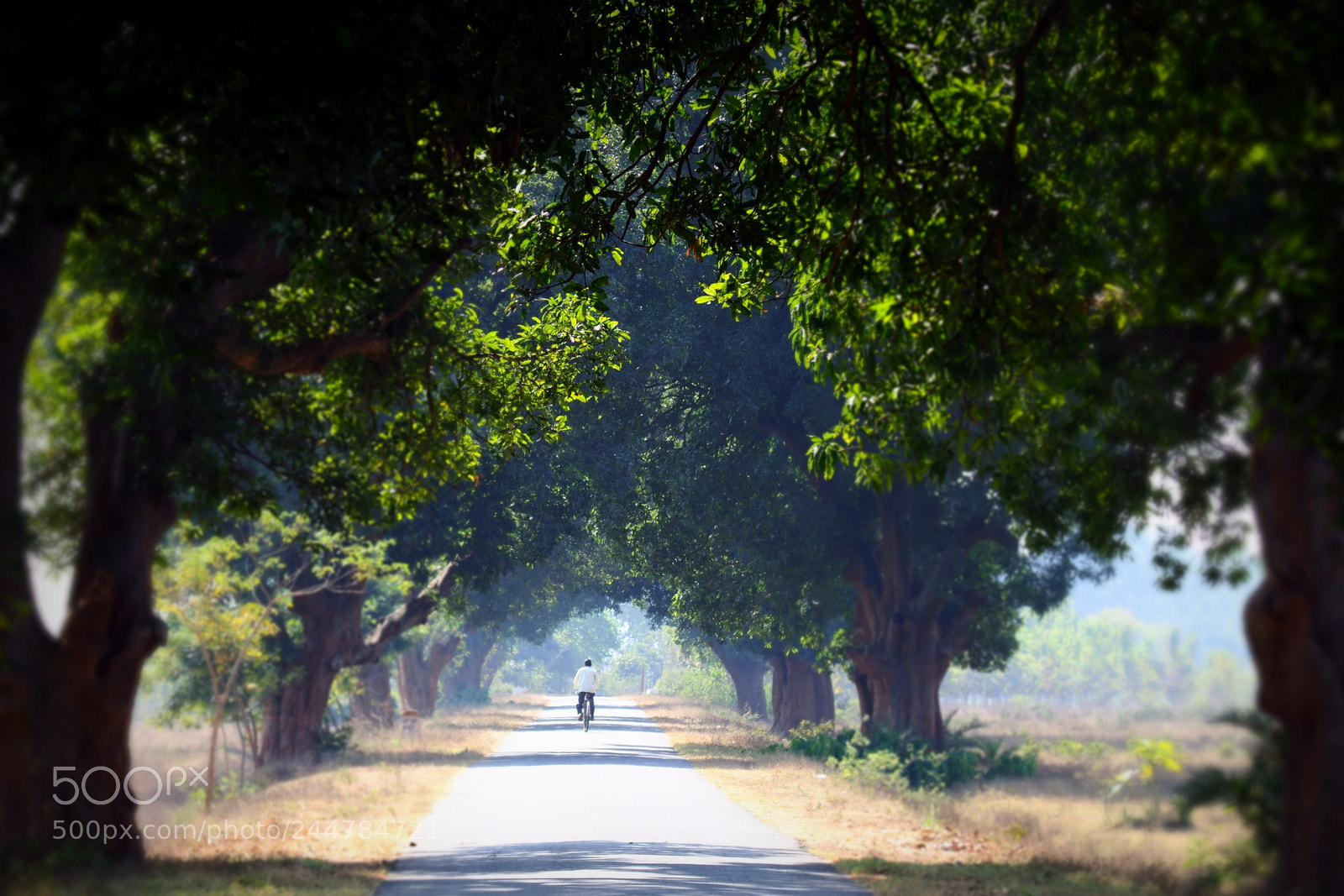 Olympus OM-D E-M1 Mark II sample photo. Lonely cyclist photography
