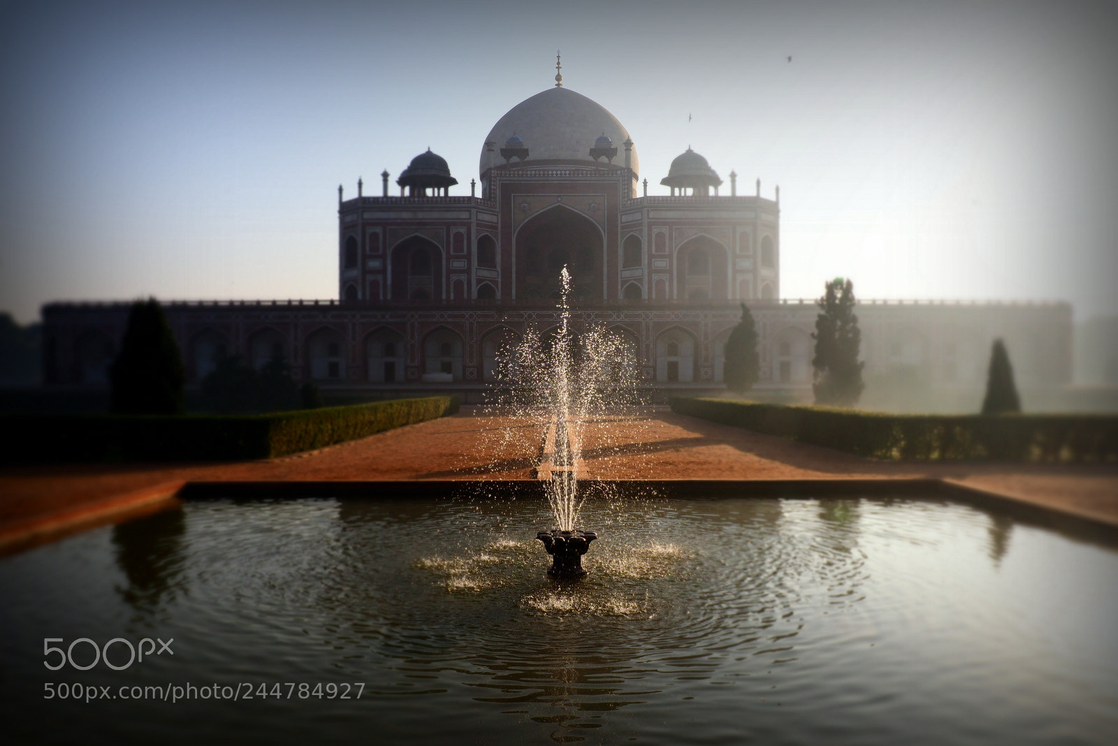 Olympus OM-D E-M1 Mark II sample photo. Winter at humayun's tomb photography