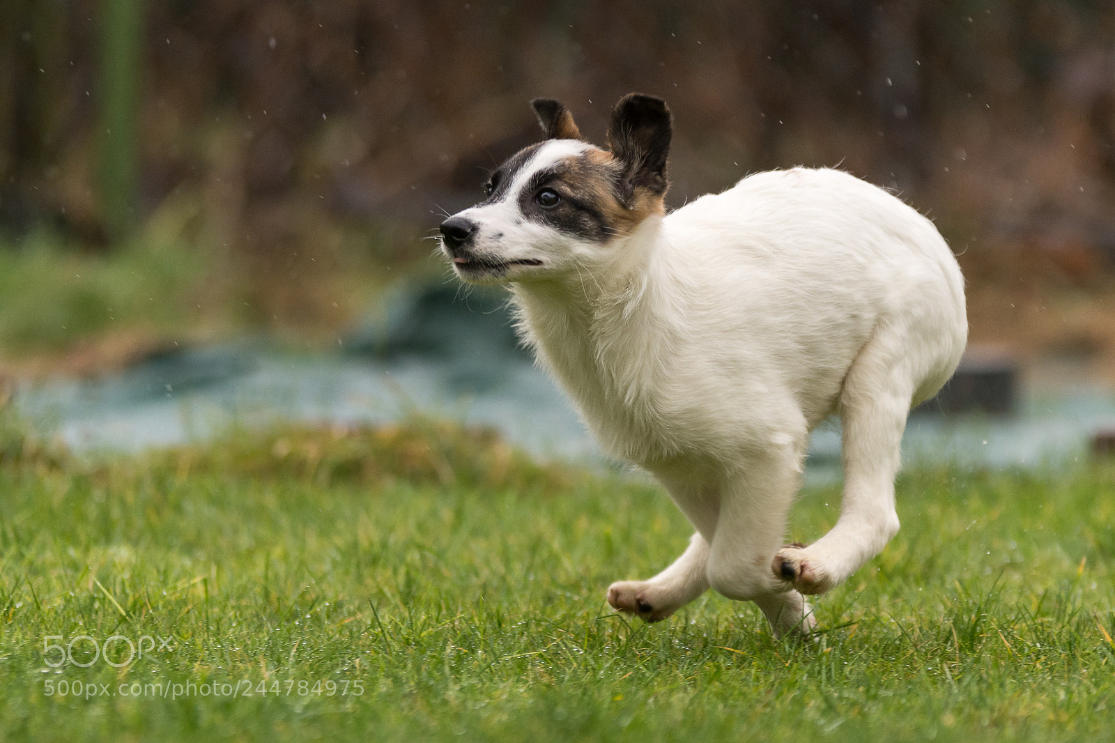Nikon D7200 sample photo. Rain who cares about photography