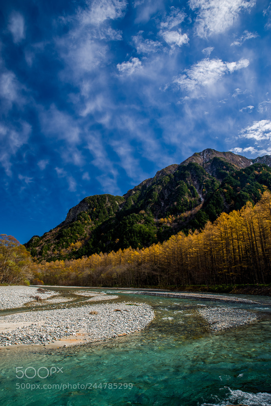 Pentax K-1 sample photo. 055 autumn-color of japanese larch photography