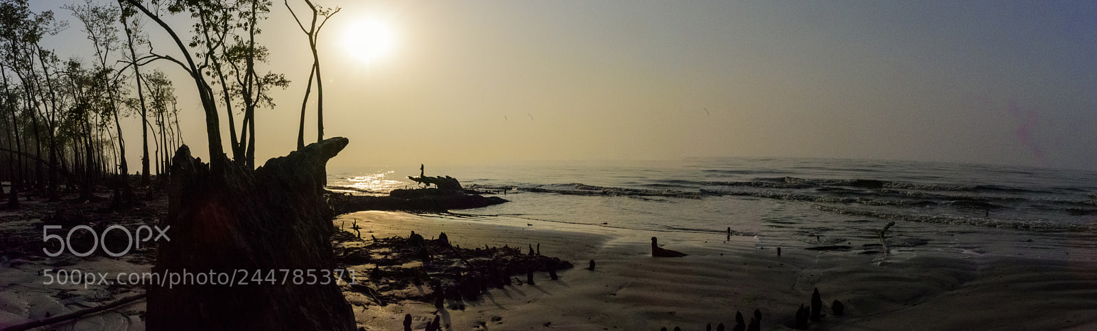 Nikon D810 sample photo. Pano photography