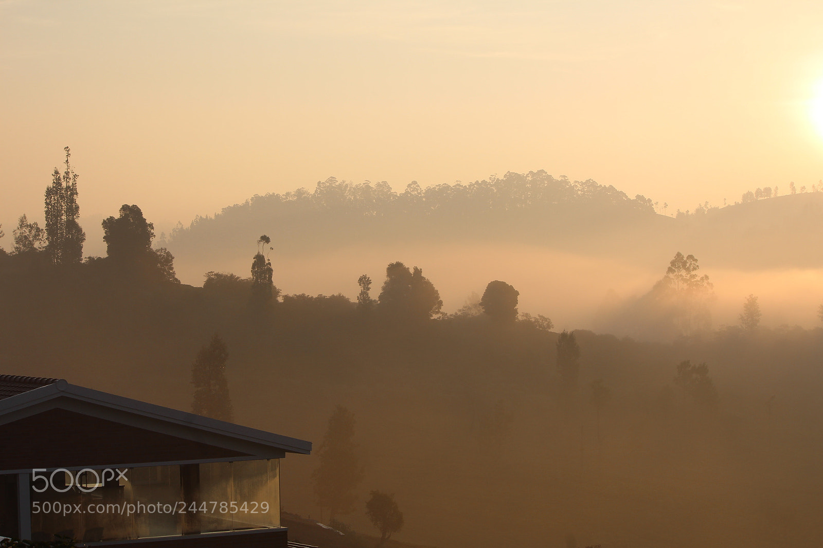 Canon EF-S 55-250mm F4-5.6 IS II sample photo. Good morning photography