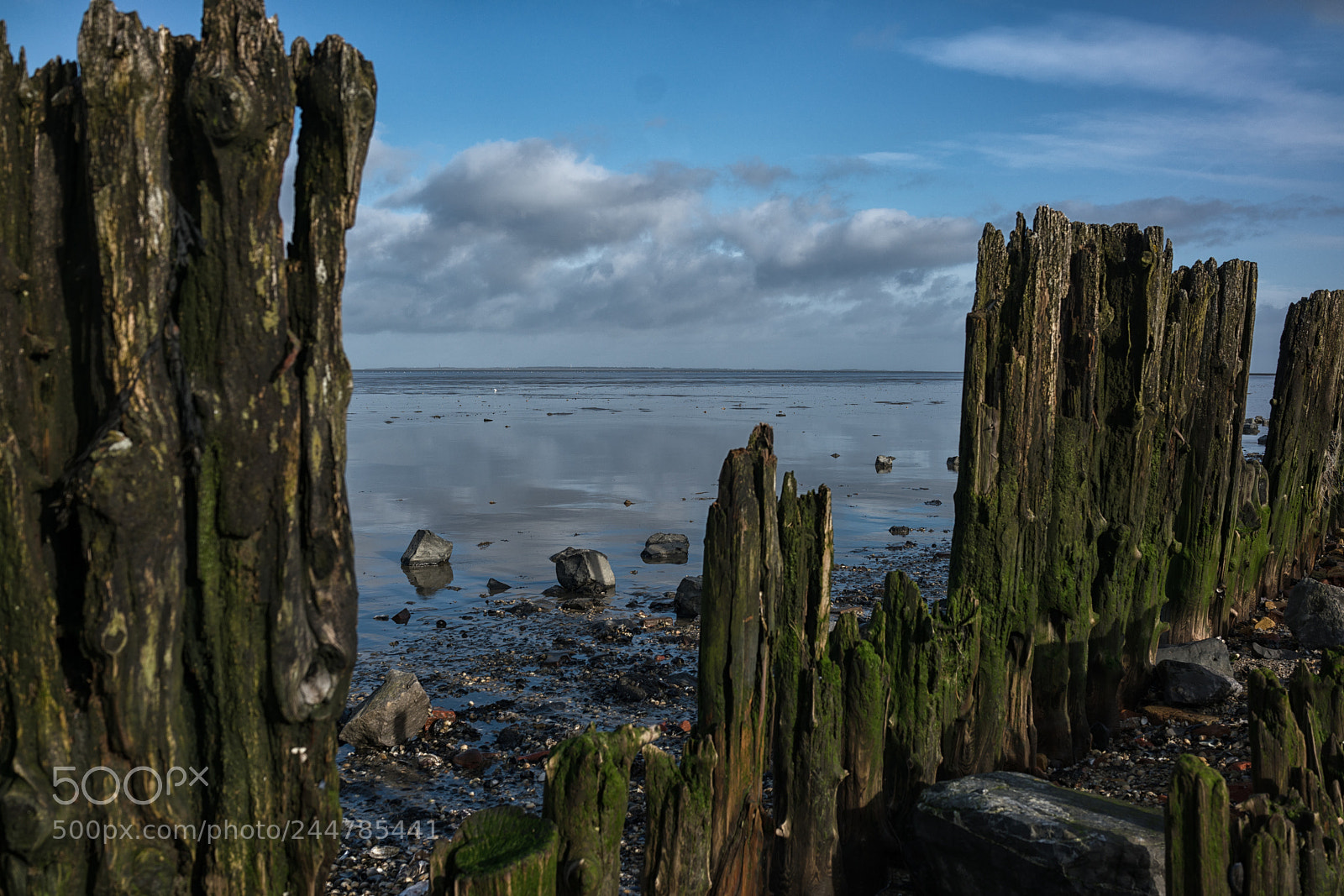 Sony Cyber-shot DSC-RX1R II sample photo. Dutch landscape photography