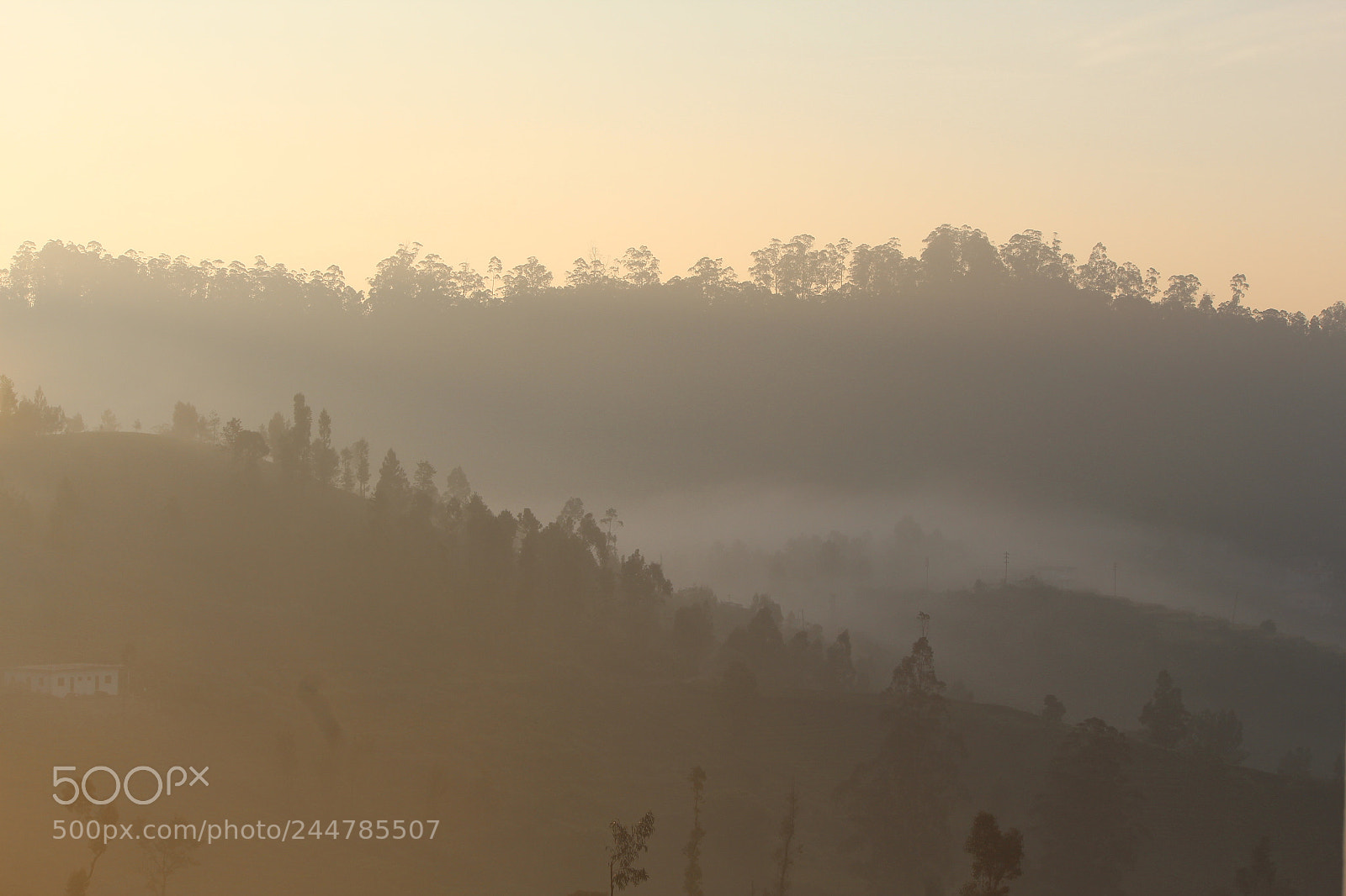 Canon EF-S 55-250mm F4-5.6 IS II sample photo. Good morning photography