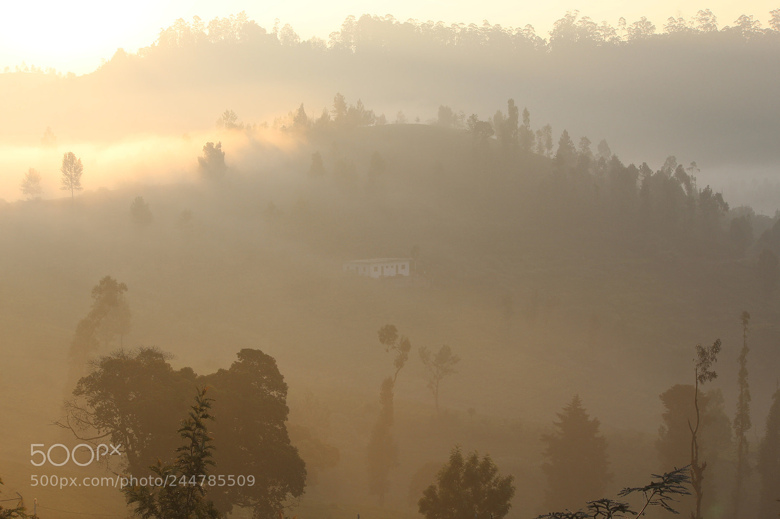 Canon EF-S 55-250mm F4-5.6 IS II sample photo. Good morning photography