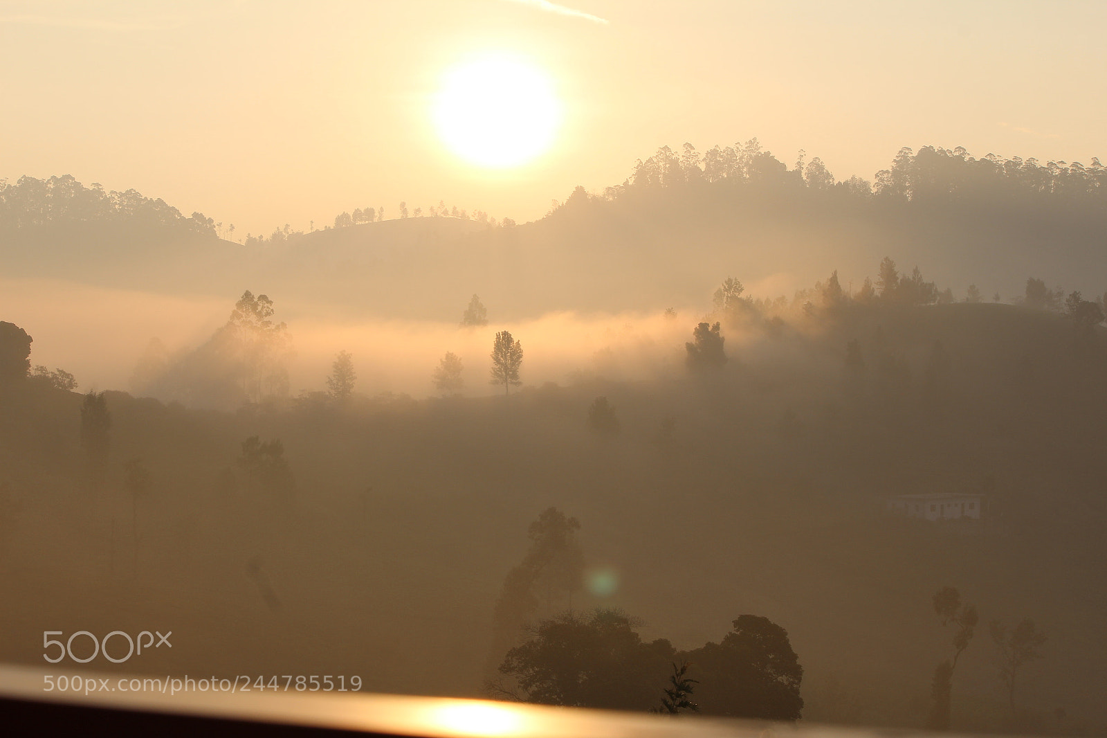 Canon EF-S 55-250mm F4-5.6 IS II sample photo. Good morning photography