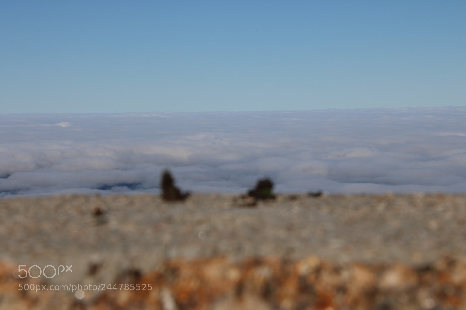 Canon EOS 750D (EOS Rebel T6i / EOS Kiss X8i) sample photo. Over the sky photography
