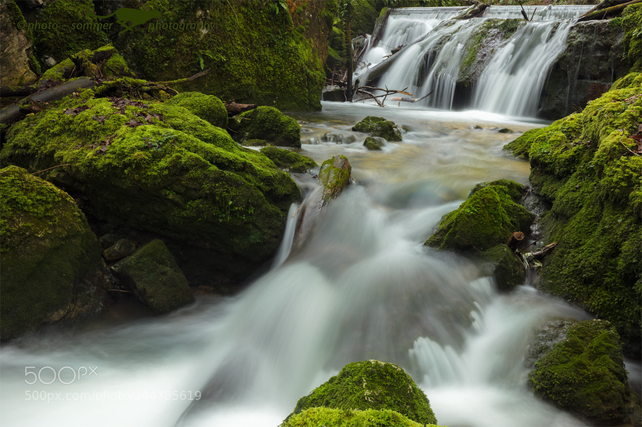 Canon EOS 5DS R sample photo. Ibach photography