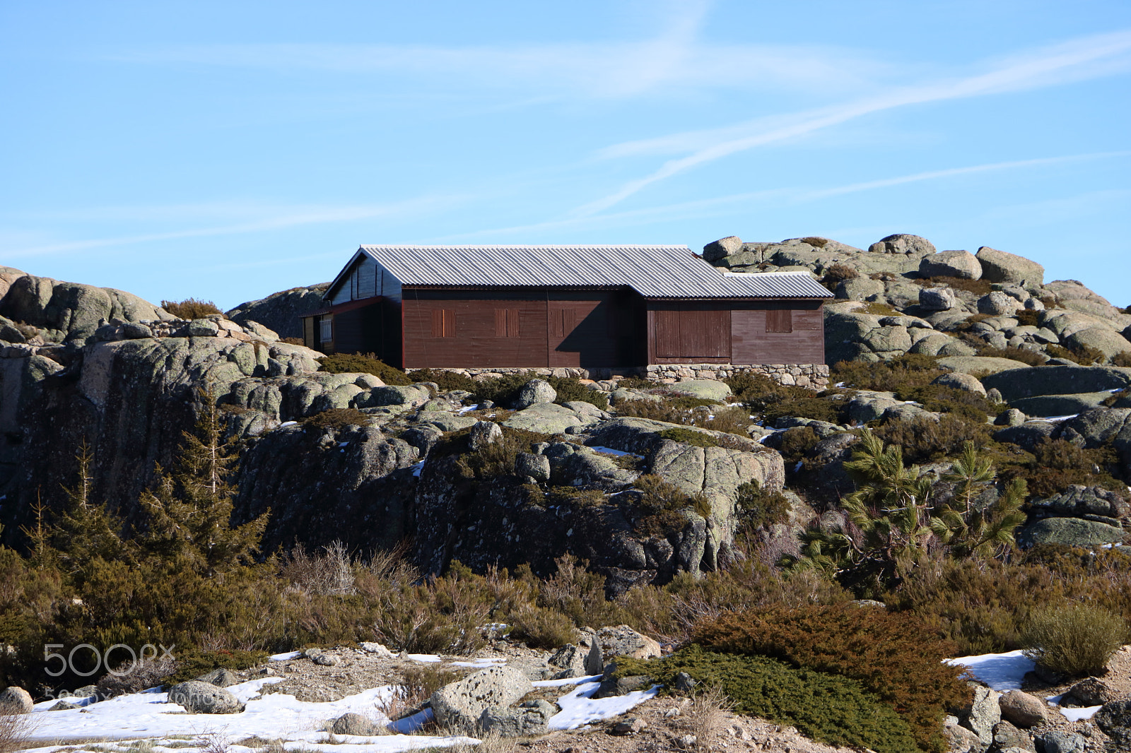 Canon EOS 750D (EOS Rebel T6i / EOS Kiss X8i) sample photo. Nature home photography
