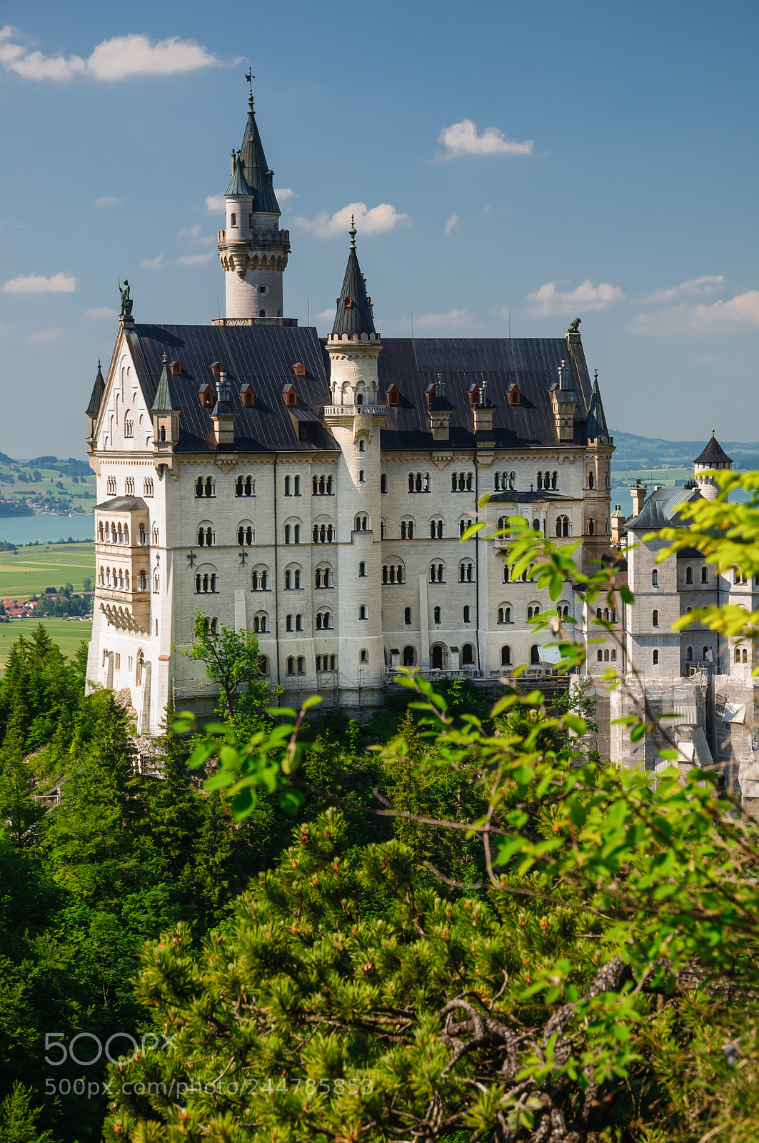 Nikon D300S sample photo. Schloss neuschwanstein 2 photography