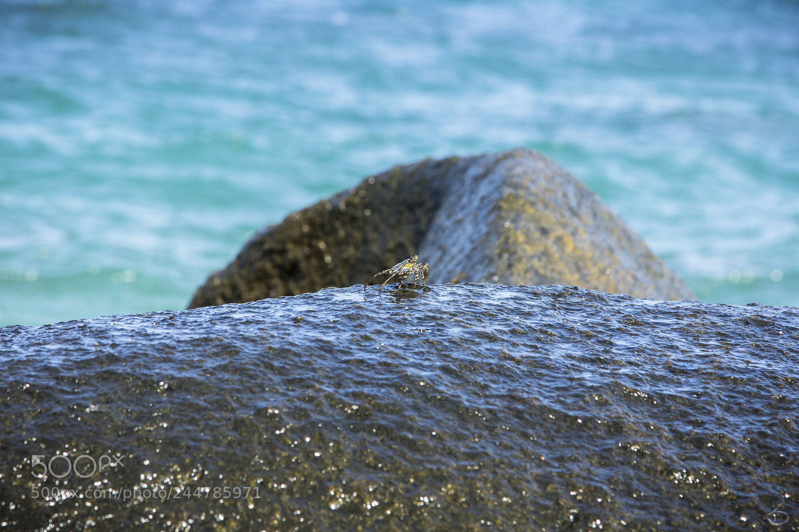 Canon EOS 60D sample photo. Tayrona iv photography
