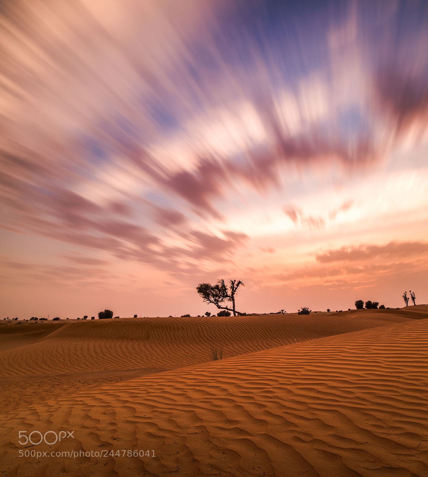 Nikon D610 sample photo. Desert sunset photography