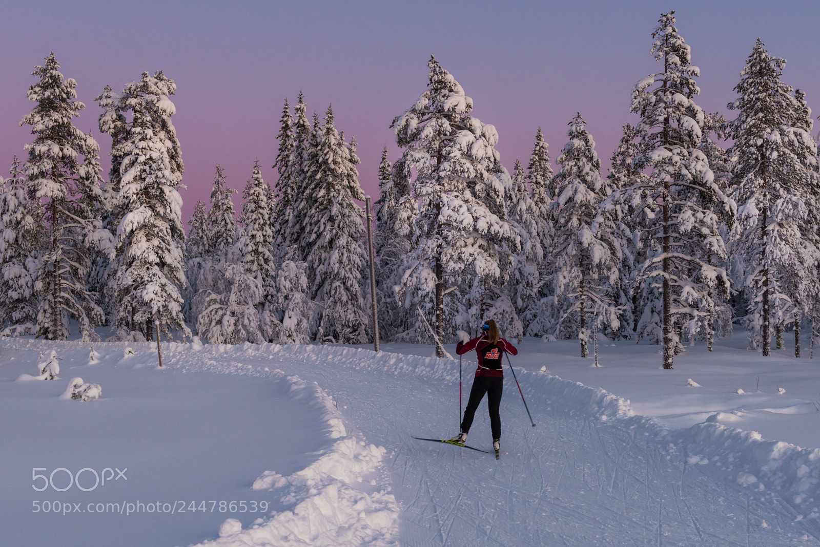 Nikon D810 sample photo. Winter mood iv photography