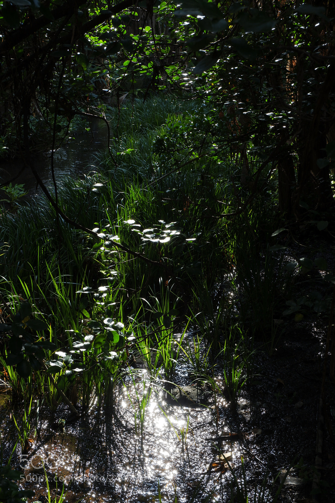 Fujifilm X-A3 sample photo. Shining waterside photography