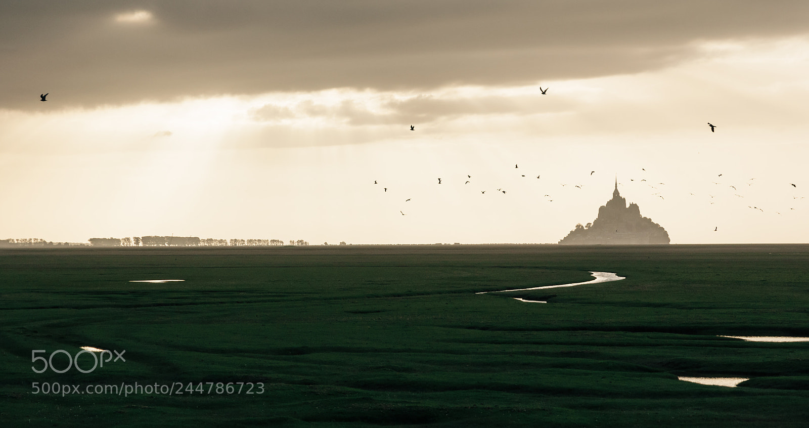 Nikon D90 sample photo. Mystic mont-saint-michel photography