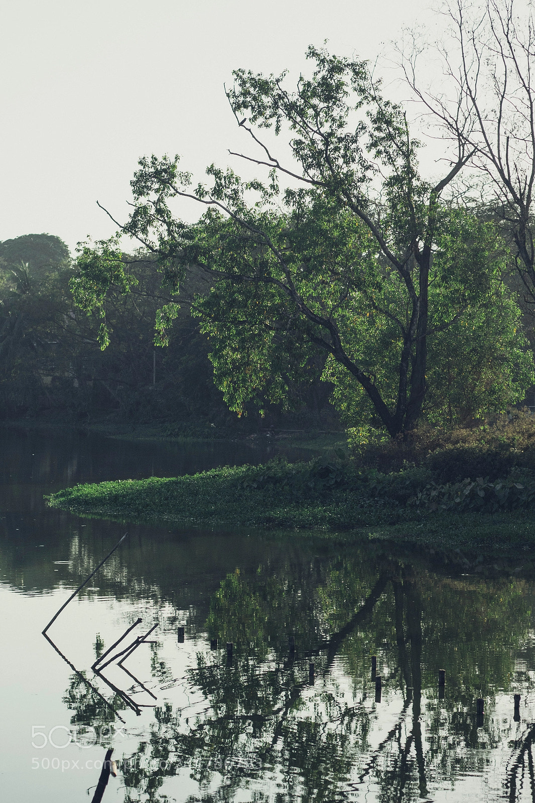 Canon EOS 60D sample photo. Island, lake photography