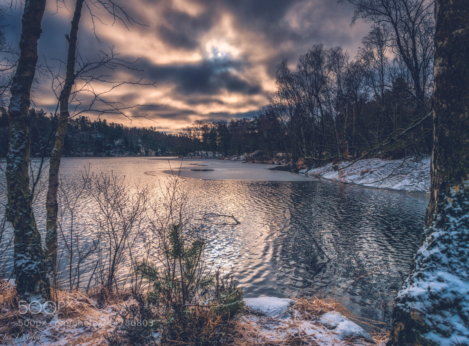 Nikon D800 sample photo. Lake västra fin photography