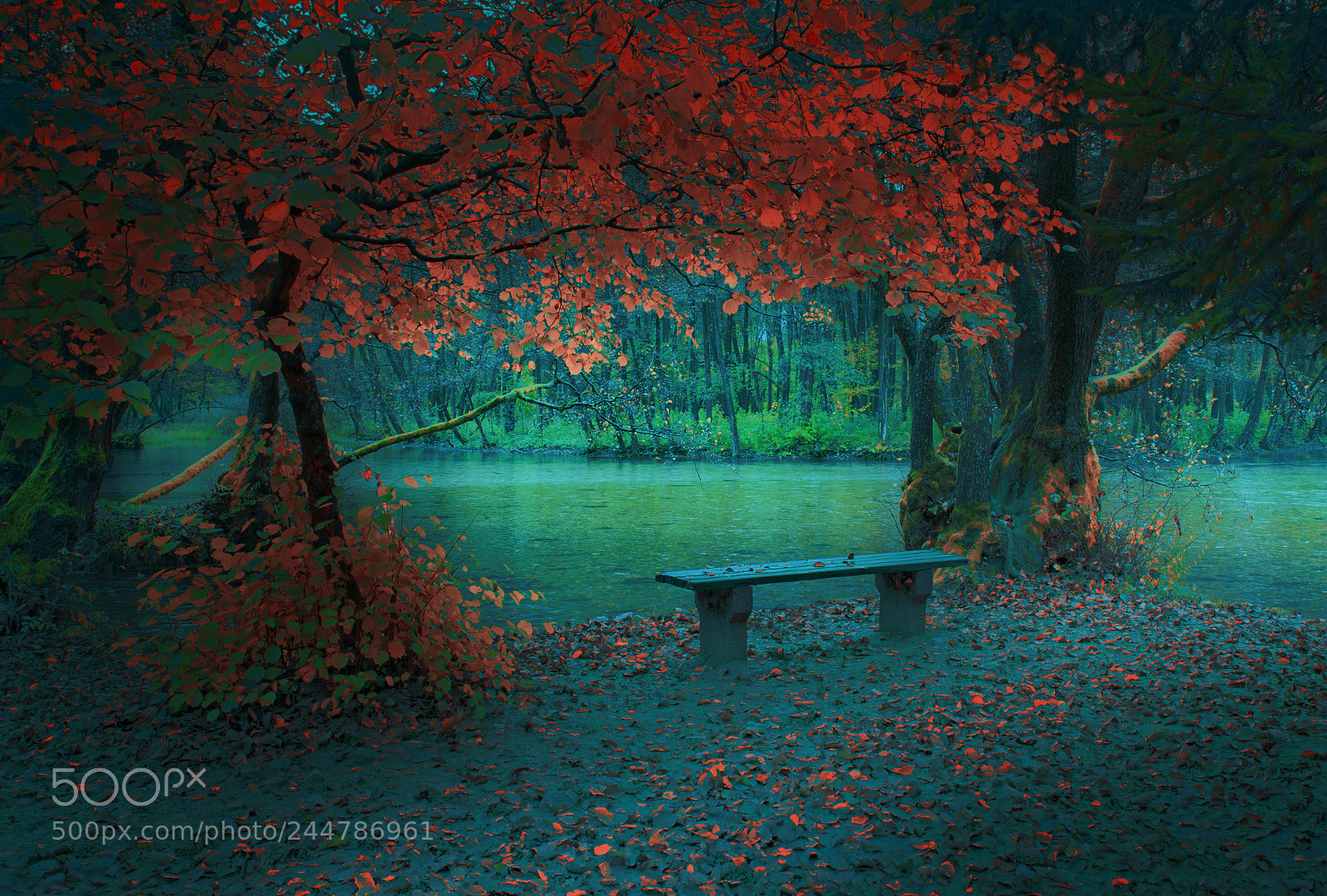 Nikon D610 sample photo. Bench photography