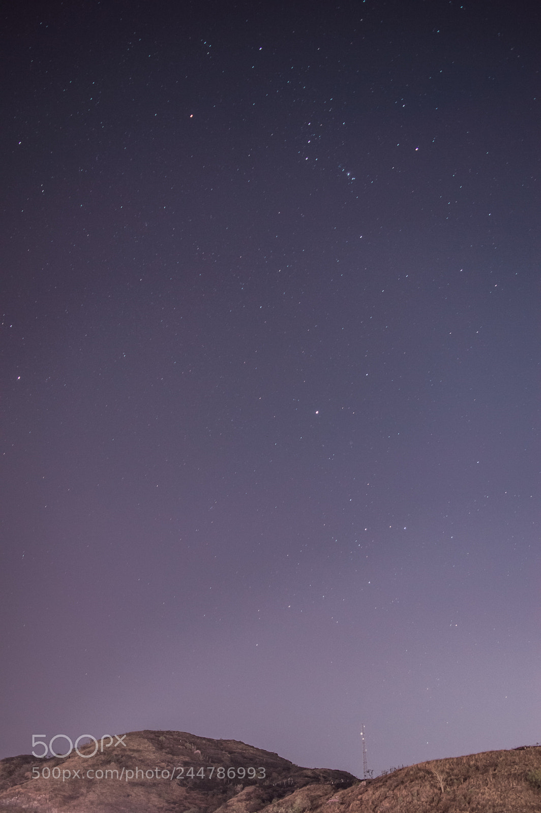 Nikon D3200 sample photo. Stars photography