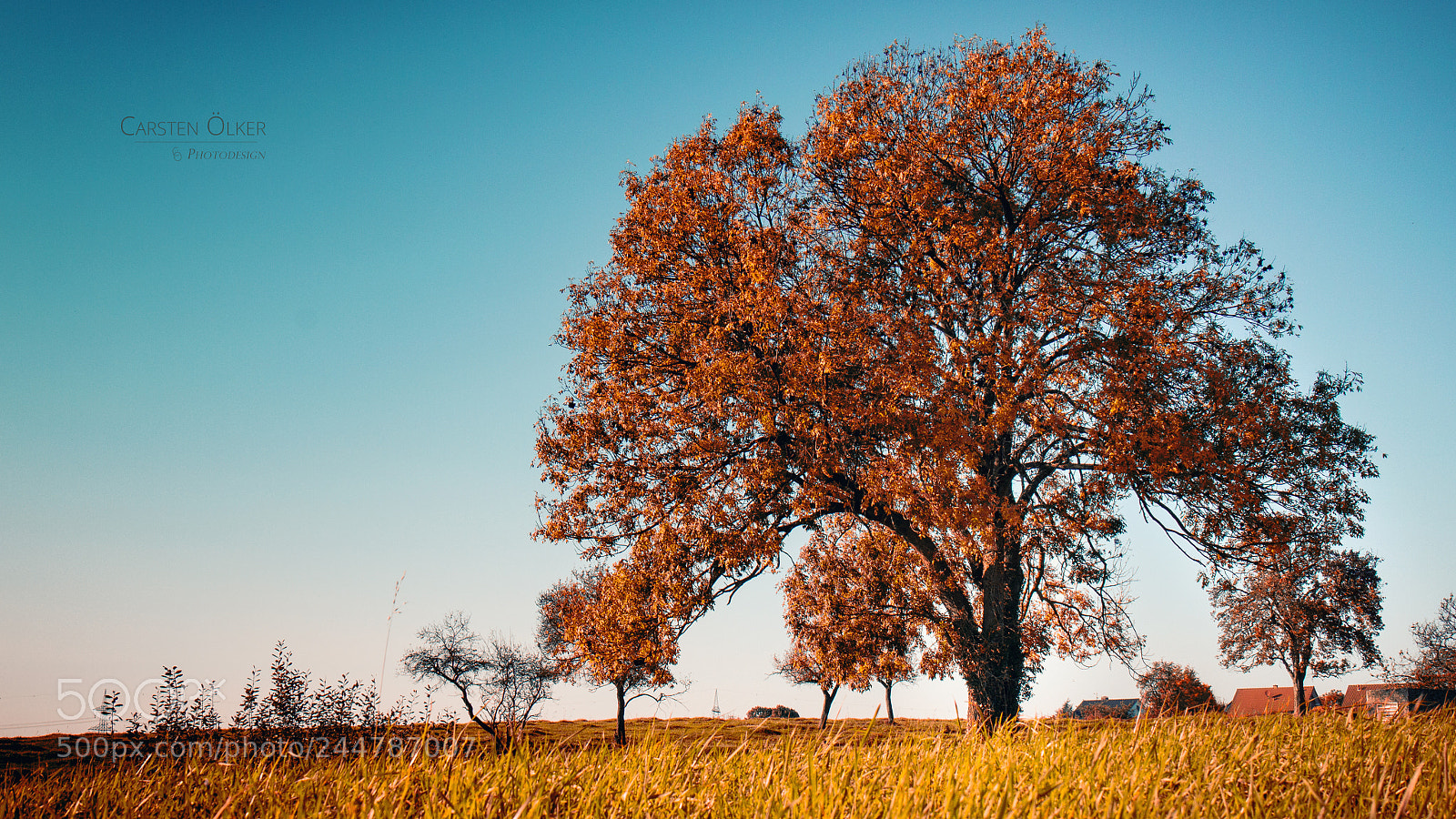 Canon EOS 60D sample photo. Farbspiel photography
