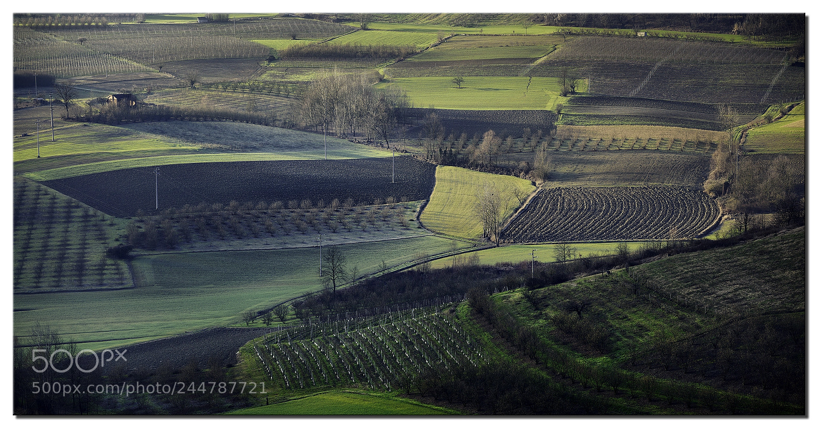 Nikon D810 sample photo. Piemont pano kl photography
