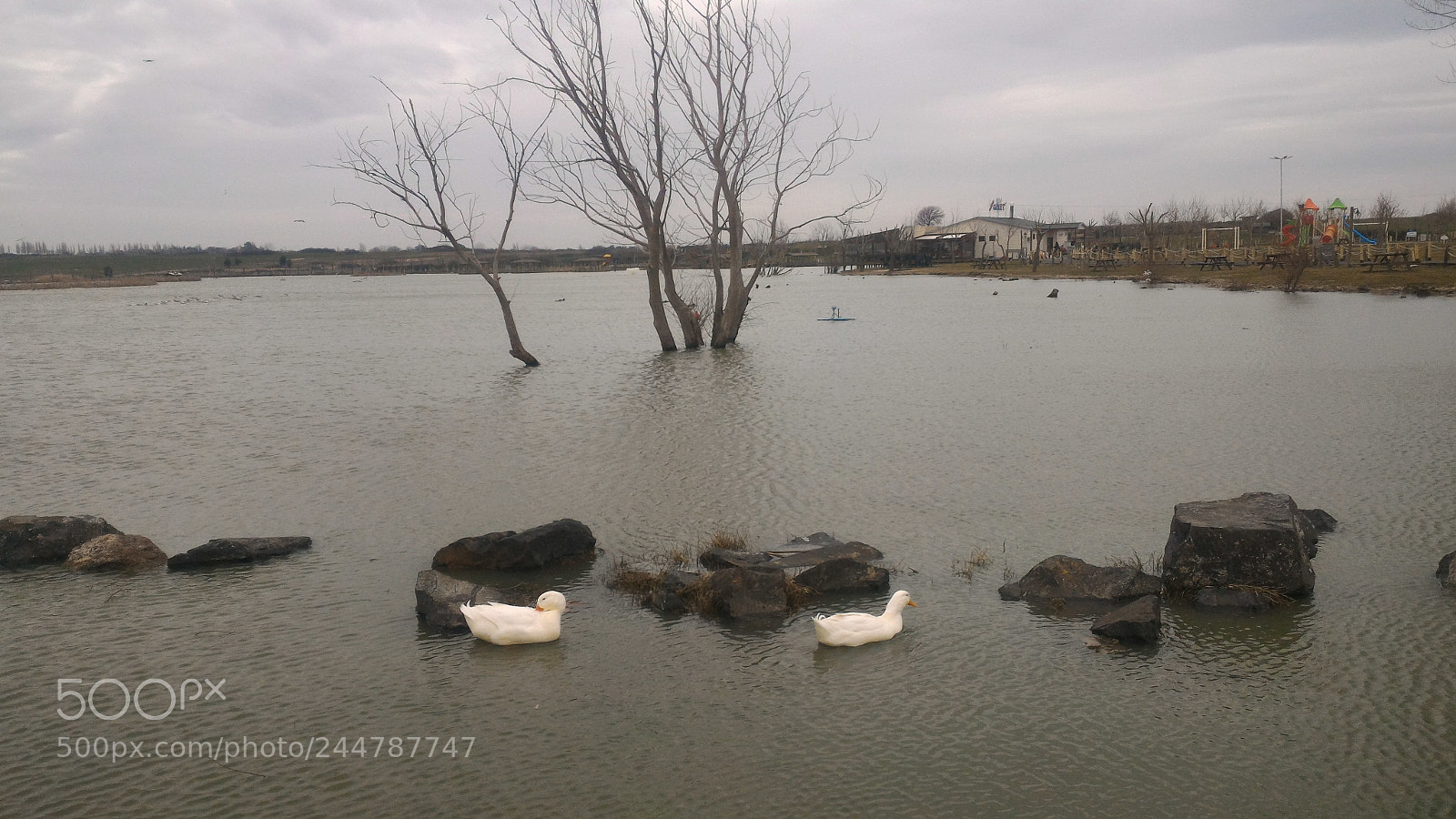 ASUS ZenFone 2 (ZE551ML) sample photo. Untitled photography