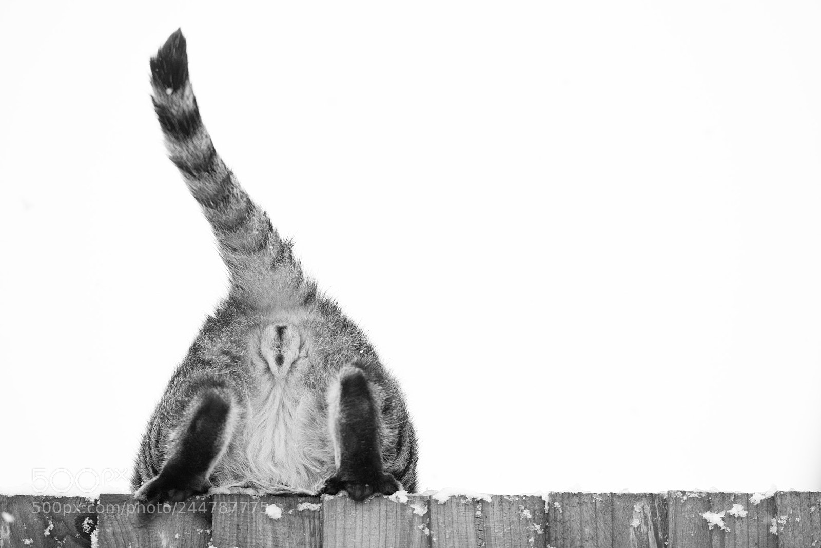 Nikon D810 sample photo. 'over the edge' photography
