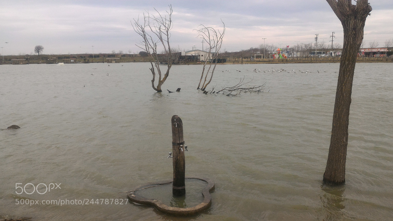 ASUS ZenFone 2 (ZE551ML) sample photo. Untitled photography