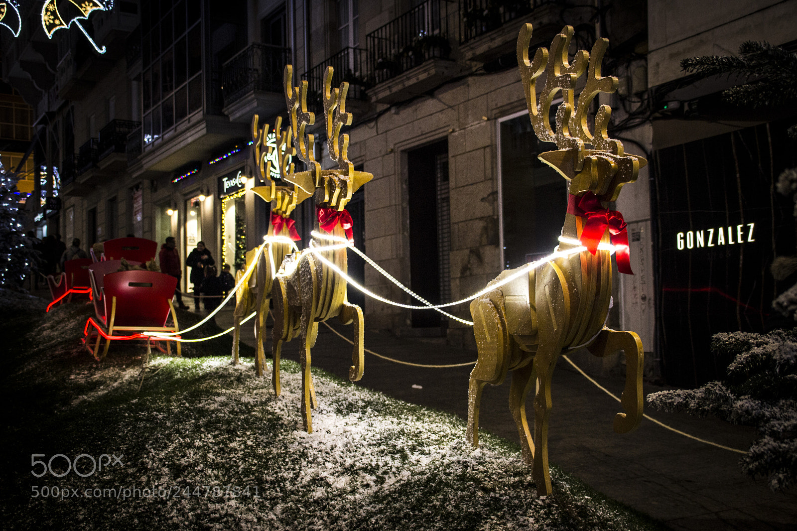 Canon EOS 60D sample photo. Lighting reindeers photography