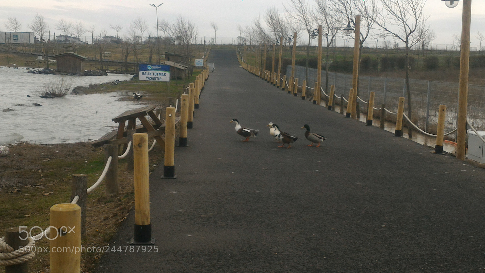 ASUS ZenFone 2 (ZE551ML) sample photo. Untitled photography