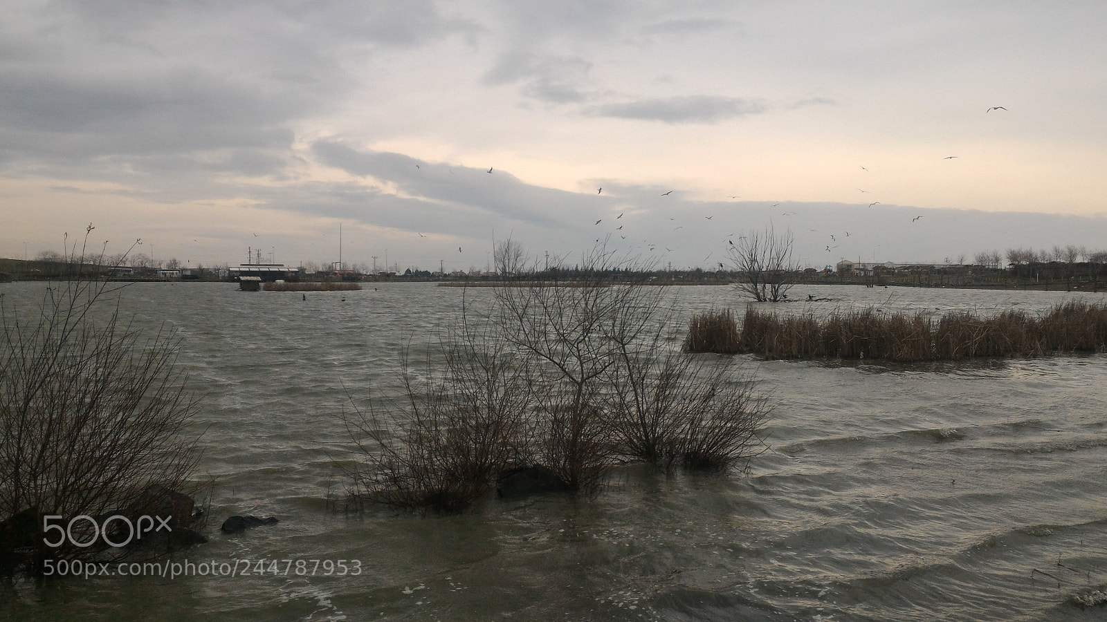 ASUS ZenFone 2 (ZE551ML) sample photo. Untitled photography