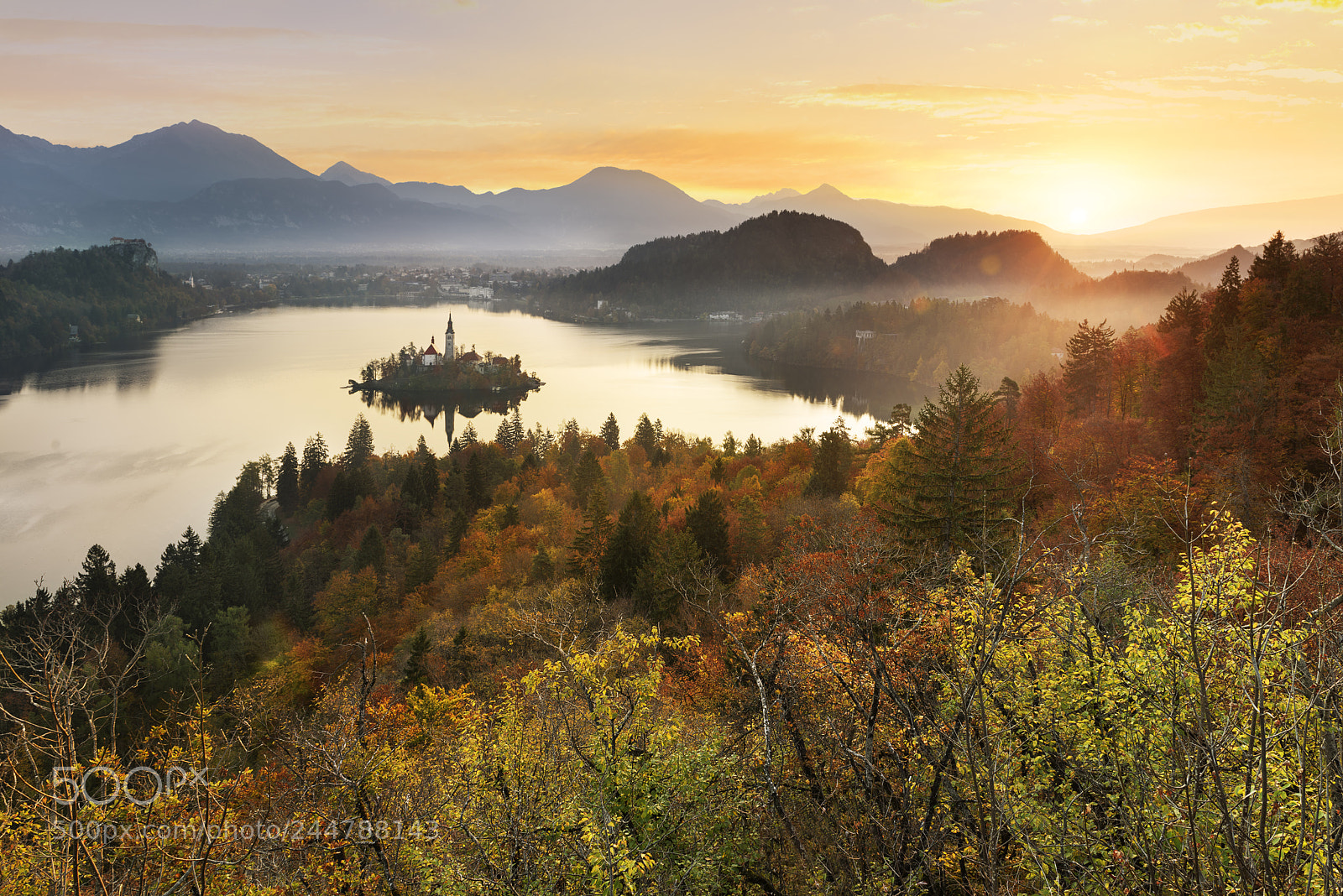 Nikon D810 sample photo. Bled in slovenia, europe photography