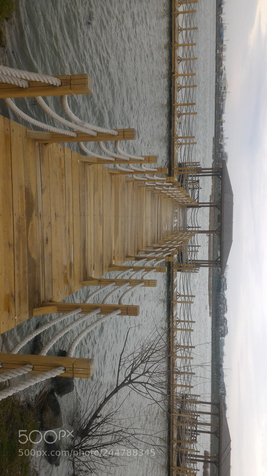 ASUS ZenFone 2 (ZE551ML) sample photo. Untitled photography