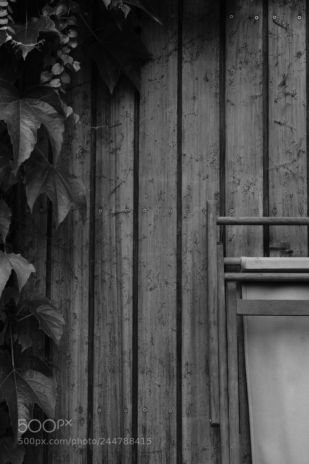 Fujifilm X-T20 sample photo. Shadow garden photography