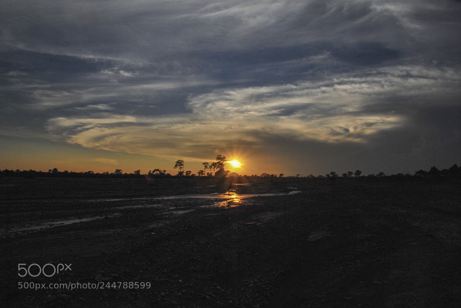 Nikon D60 sample photo. Sunset from a dried photography