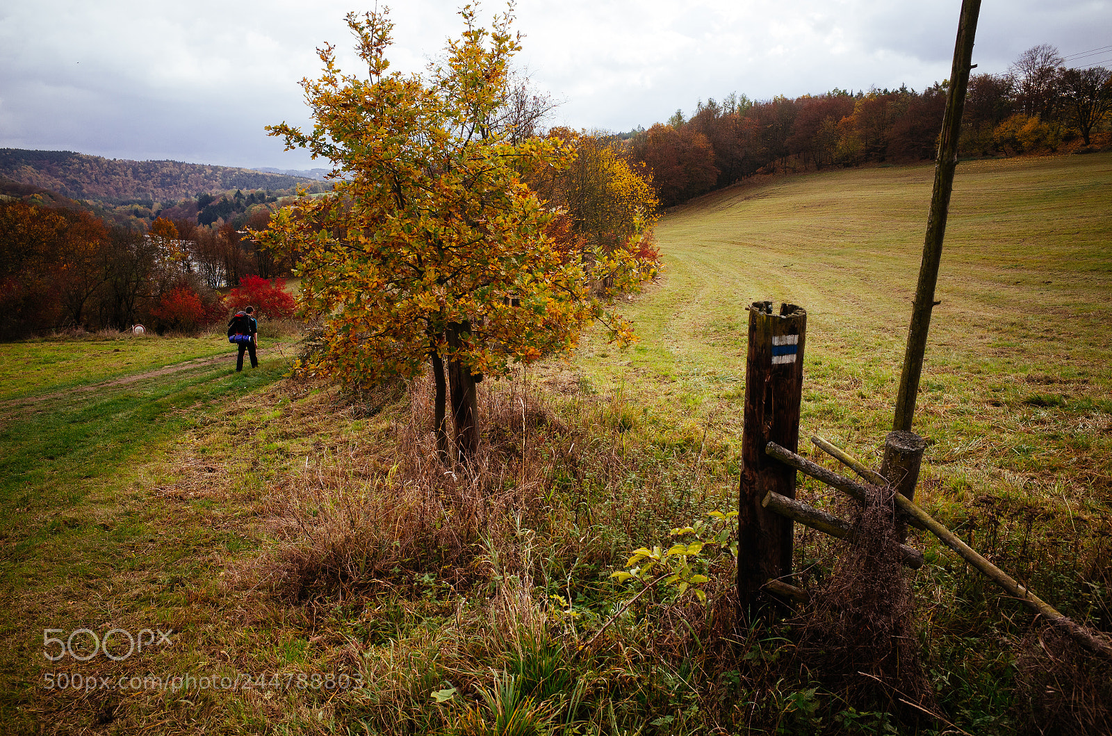 Ricoh GR sample photo. Trail marks photography