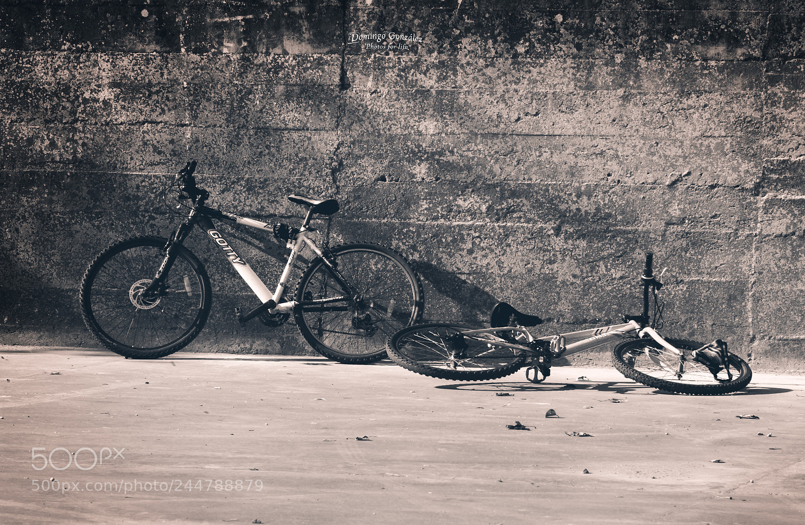Nikon D500 sample photo. Urban 1 photography
